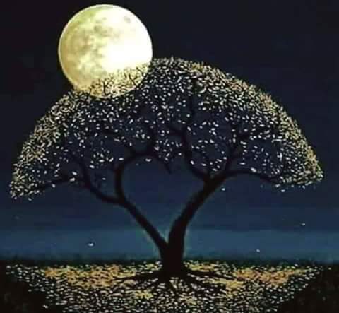 الرموز السرية للفوز بنفحات رمضان!