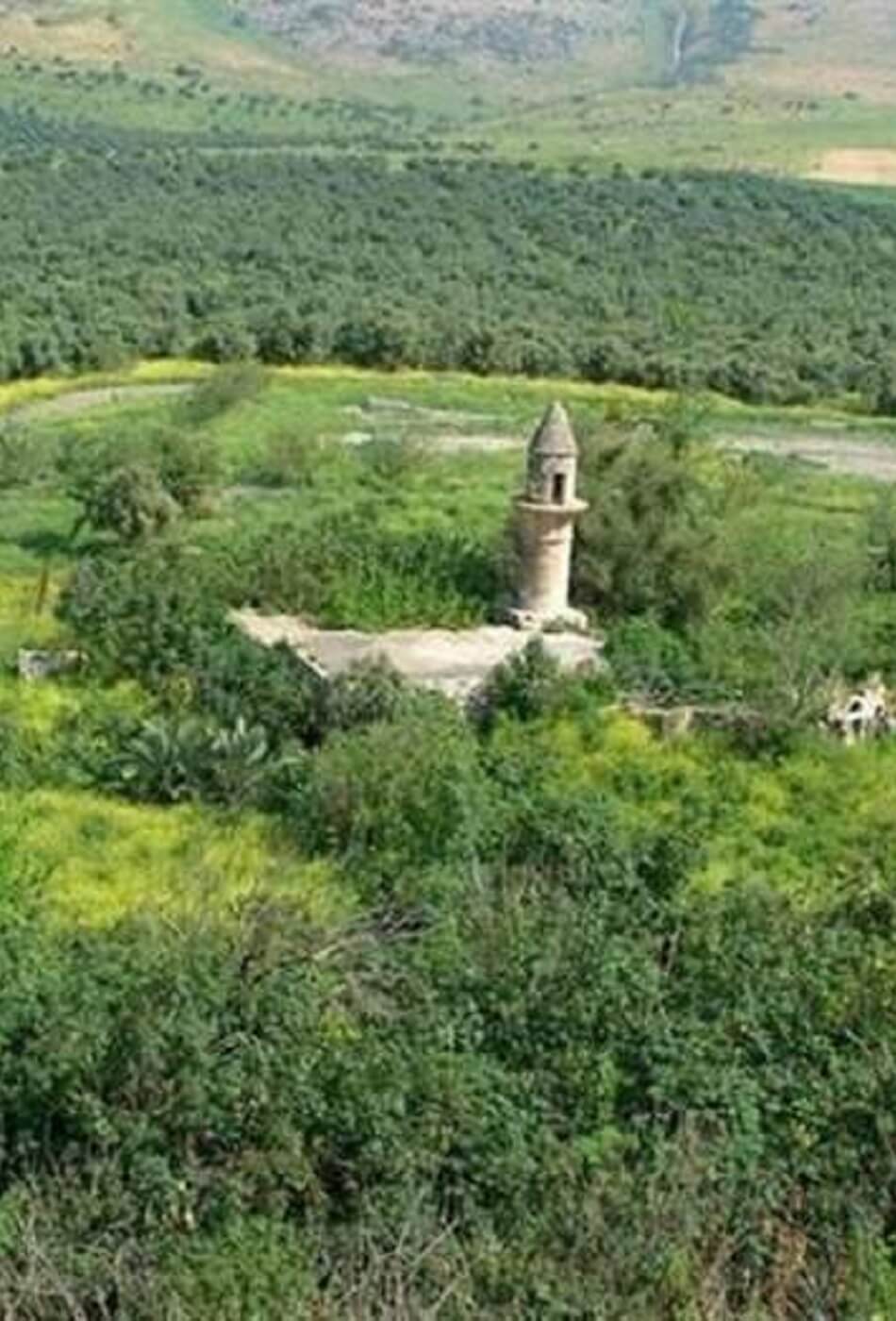 الشاهد الوحيد على معركة حطين الخالدة الذي ما زال باقيًا حتى اليوم!