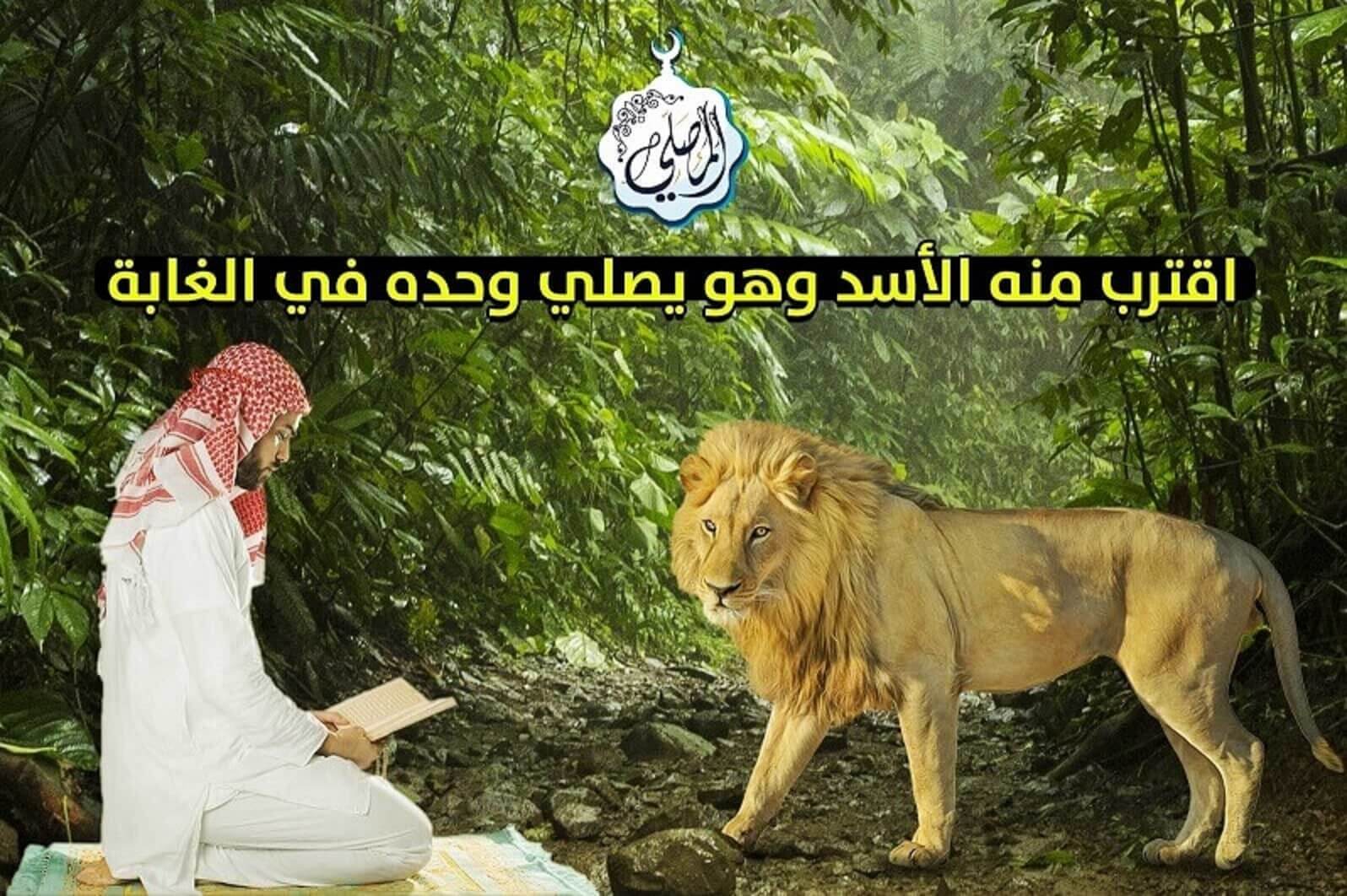 اقترب منه الأسد وهو يصلي وحده في الغابة! (قصة عجيبة)