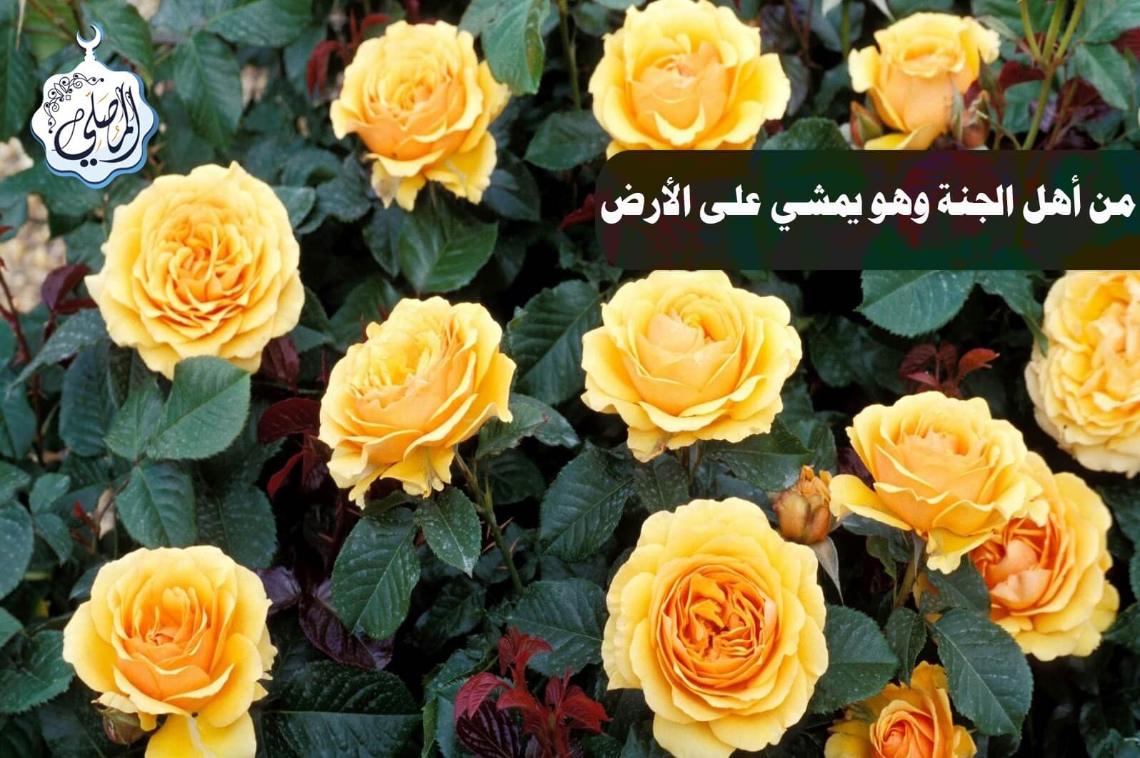  أصبح من أهل الجنة بعمل يسير وما زال يمشي على الأرض! 