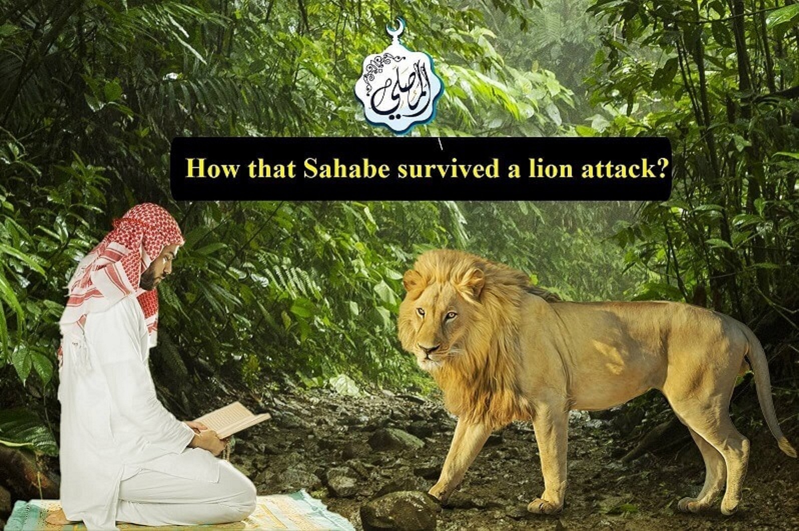 What would you do if a lion approached you whilst praying?