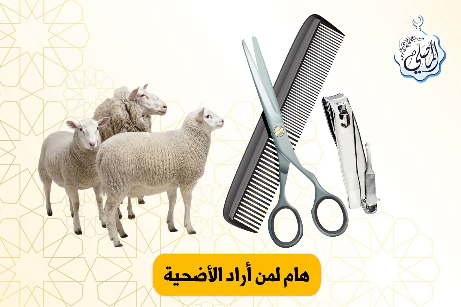 هام لمن أراد أن يضحي هذا العام!