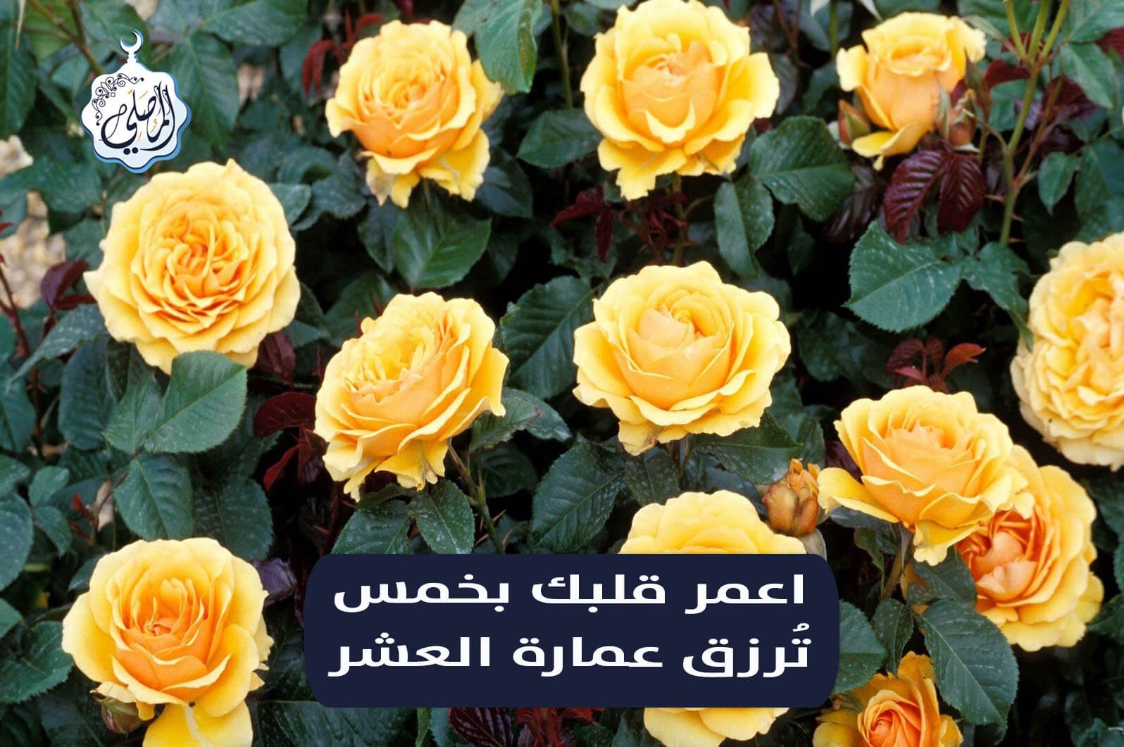 إن أردت عمارة العشر، اعمر قلبك بهذه الخمس!