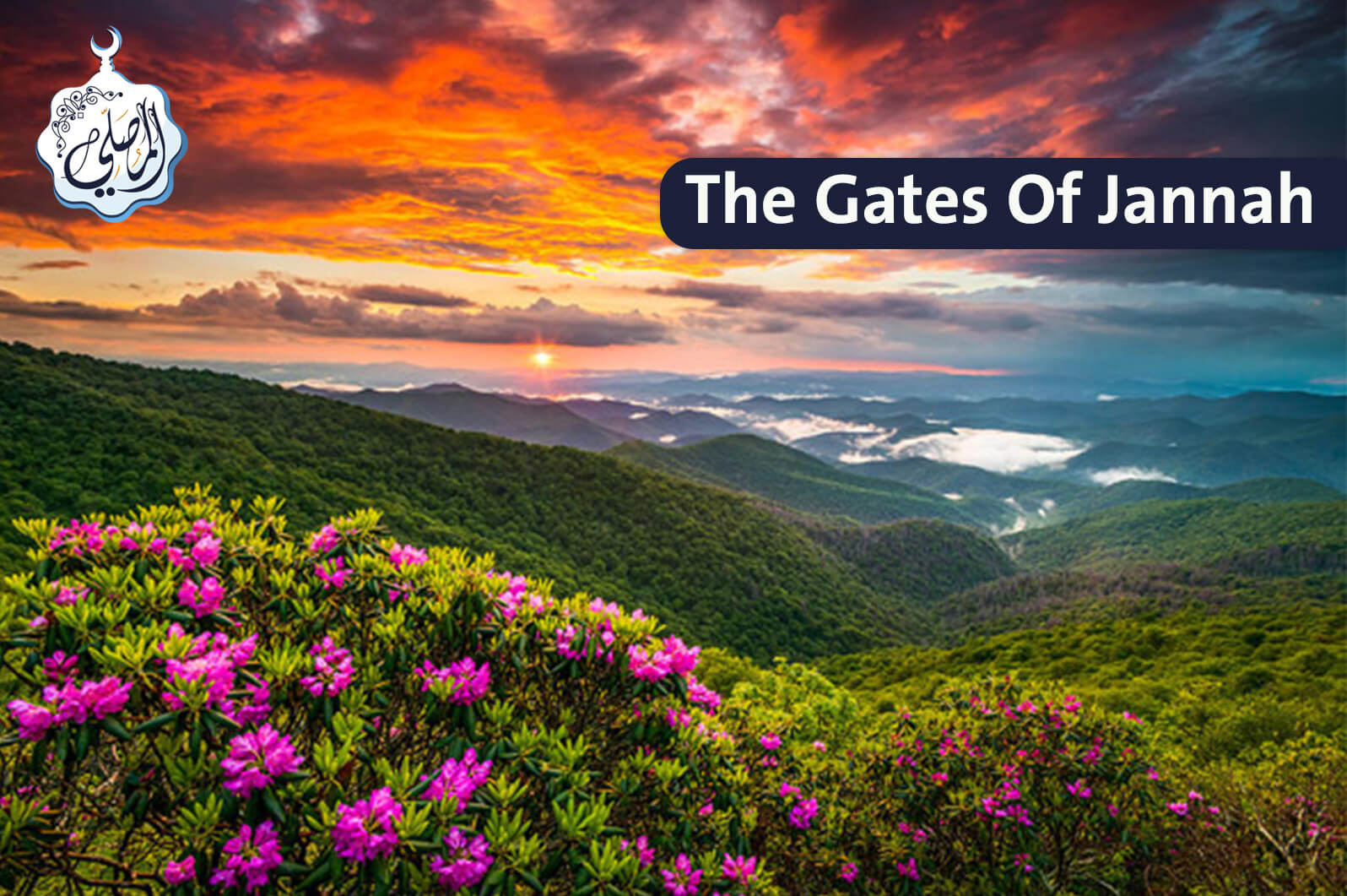 The gates of Jannah!