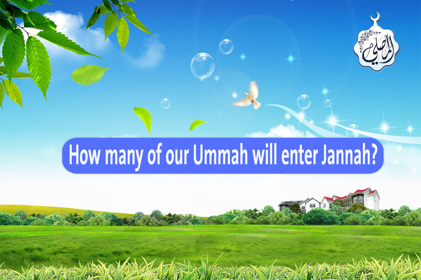 How many of our Ummah will enter Jannah?