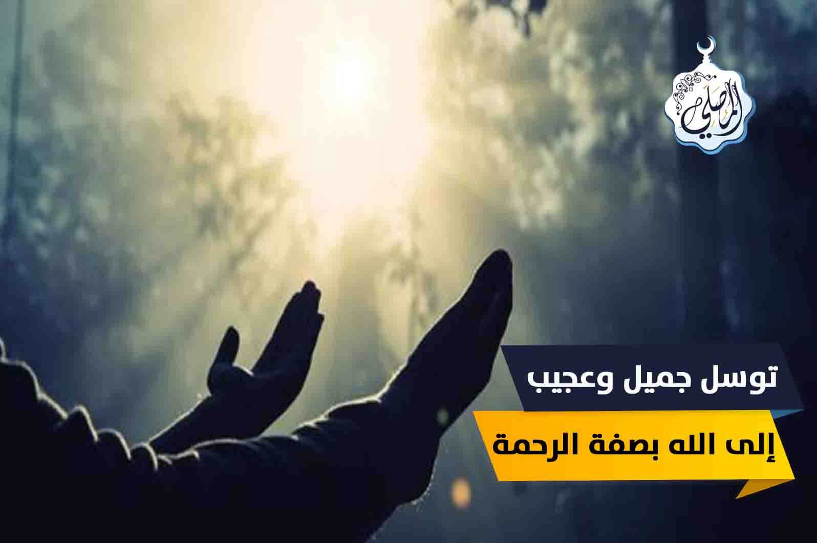 من أجمل وأعجب ما توسل به إنسان إلى ربه بصفة رحمته سبحانه ورحمانيته!