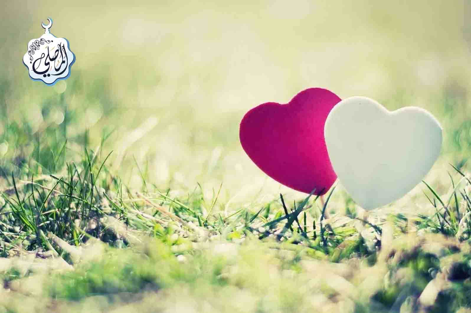 أعظم ما تحقق به التوفيق في حياتك!