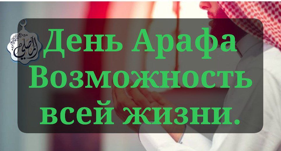 День Арафа, возможность всей жизни.