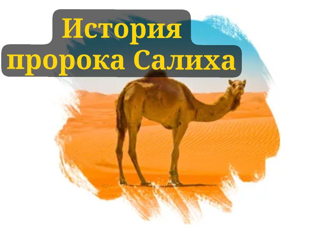 История пророка Салиха и народа Самуд