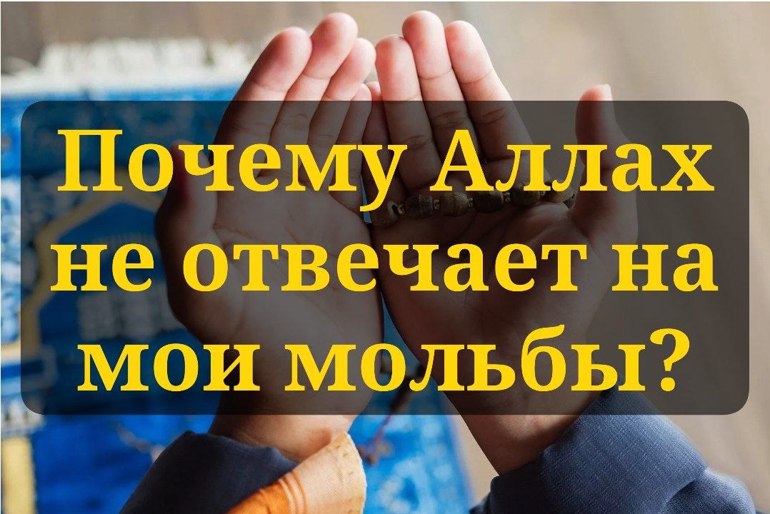 Почему Аллах не отвечает на мои мольбы?