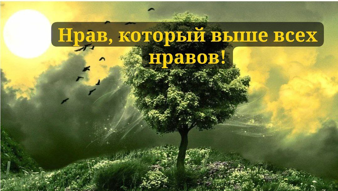 Нрав, который выше всех нравов!