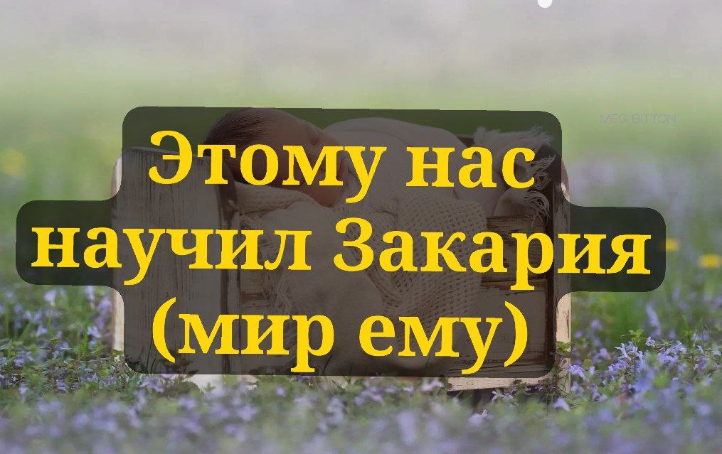 Этому нас научил Закария (мир ему)! 