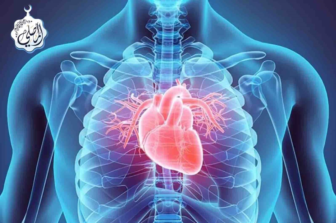 📖 Les cœurs s’affaiblissent sous le poids des péchés