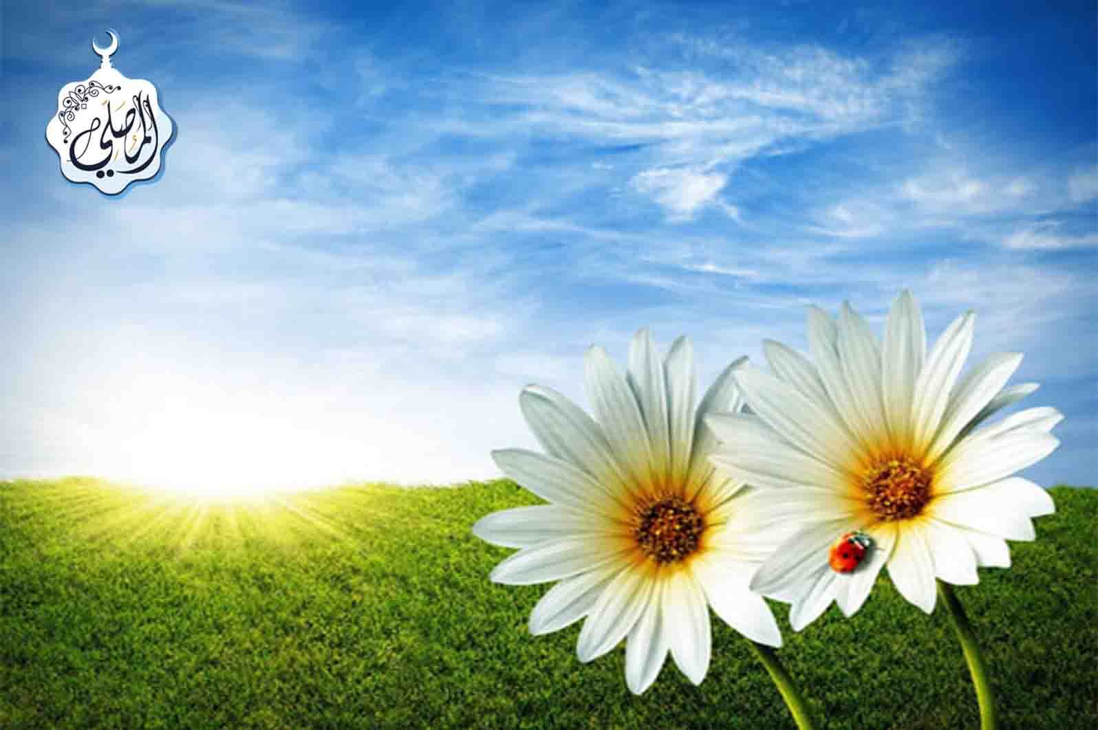 Perlindungan Keluarga... Benteng Pertama Masyarakat